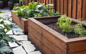 Как не заболеть, если болеют дети: пошаговый план от семейного терапевта