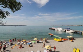 Трансжиры и растворитель: профессор опроверг мифы псведоэкспертов о подсолнечном масле