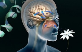 Леонид Бичевин о роли домашнего тирана и сериале "Опасная близость"