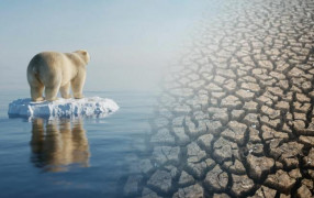 Время на борьбу с изменением климата на исходе: окно возможностей закроется через 3 года