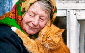 "Кошка мурлыкала - то ли утешала, то ли прощалась": две истории о доброте